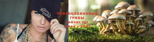 MESCALINE Бородино