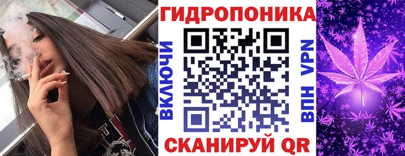 МЕГА онион Кедровый Шишки марихуана план как найти